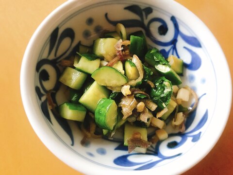 冷奴やご飯にかけて美味しいきゅうりと薬味の醤油漬け